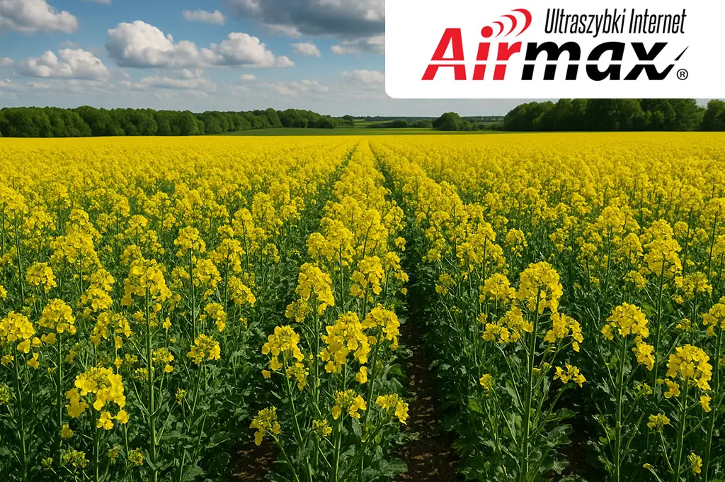 Nowoczesna uprawa rzepaku