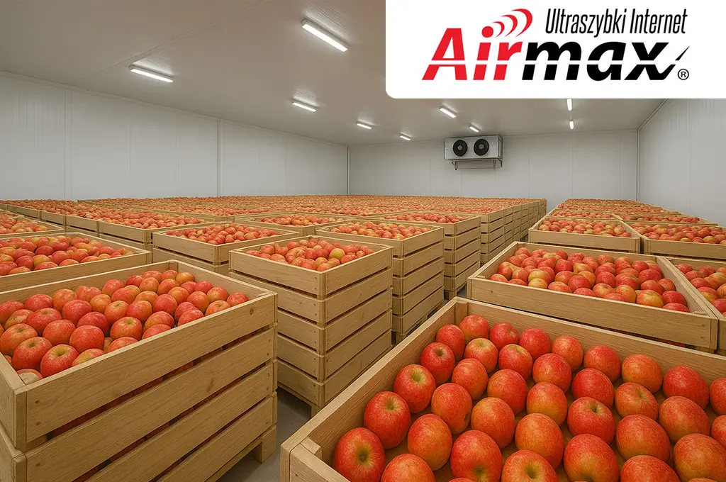 Wnętrze nowoczesnej przechowalni jabłek, przygotowane do monitoringu warunków przechowywania z wykorzystaniem stabilnego internetu opartego na światłowodzie bezprzewodowym.